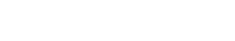 Digicon